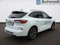 Ford Kuga ST-Line 2,0 Eblue 120PS A8 AWD Weiß - thumbnail 3