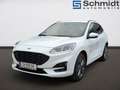 Ford Kuga ST-Line 2,0 Eblue 120PS A8 AWD Weiß - thumbnail 1