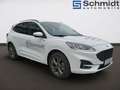 Ford Kuga ST-Line 2,0 Eblue 120PS A8 AWD Weiß - thumbnail 5