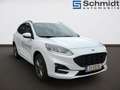 Ford Kuga ST-Line 2,0 Eblue 120PS A8 AWD Weiß - thumbnail 6
