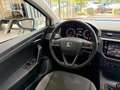 SEAT Ibiza 1.0 TGI Style Fast Lane Temp. CarPlay R.Cam Blanc - thumbnail 12