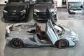 McLaren Sonstige Spider MSO Clubsport Senna Seats Lift Grau - thumbnail 14