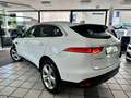 Jaguar F-Pace F-PACE 3.0d Portfolio AWD ACC Kamera 20"  1HD Bianco - thumbnail 7