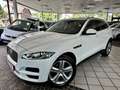 Jaguar F-Pace F-PACE 3.0d Portfolio AWD ACC Kamera 20"  1HD Bianco - thumbnail 3