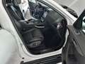 Jaguar F-Pace F-PACE 3.0d Portfolio AWD ACC Kamera 20"  1HD Bianco - thumbnail 14