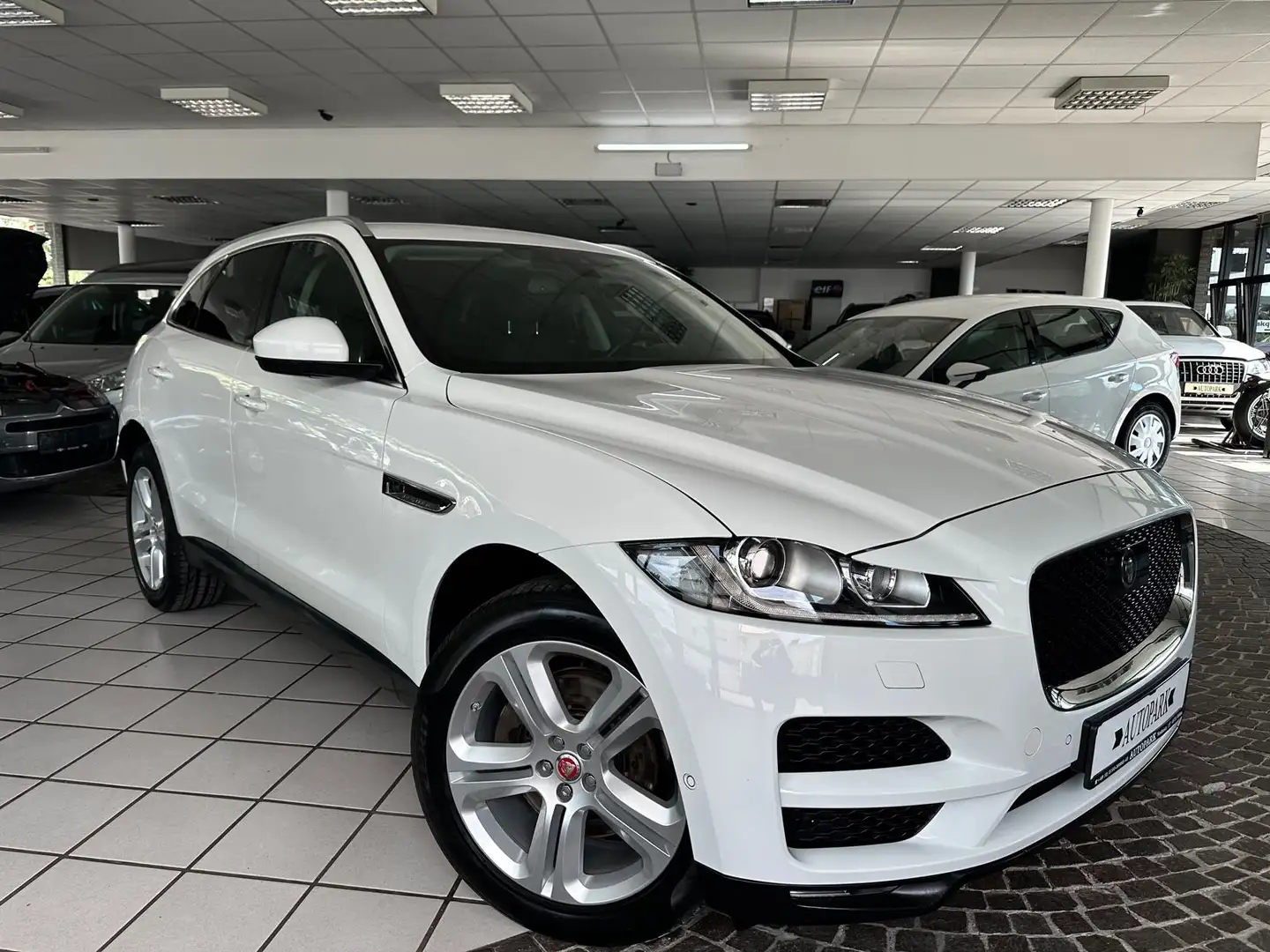 Jaguar F-Pace F-PACE 3.0d Portfolio AWD ACC Kamera 20"  1HD Bianco - 1