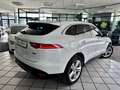 Jaguar F-Pace F-PACE 3.0d Portfolio AWD ACC Kamera 20"  1HD Bianco - thumbnail 4