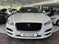 Jaguar F-Pace F-PACE 3.0d Portfolio AWD ACC Kamera 20"  1HD Bianco - thumbnail 2
