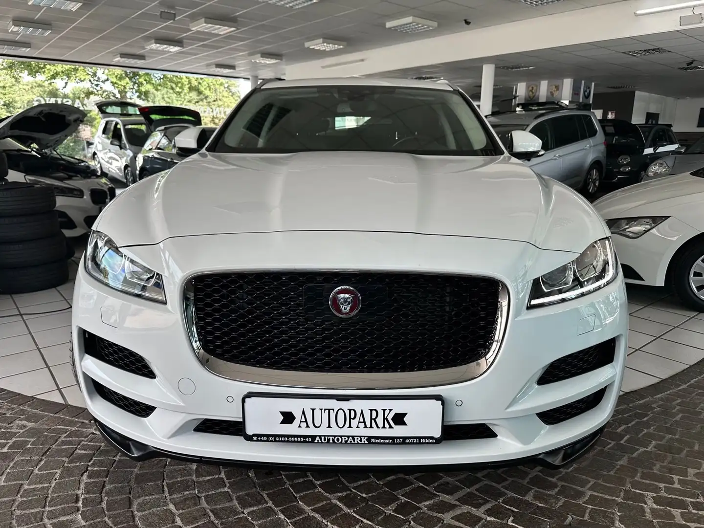 Jaguar F-Pace F-PACE 3.0d Portfolio AWD ACC Kamera 20"  1HD Bianco - 2