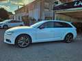 Audi A4 A4 Avant 2.0 TDI 150 CV S tronic Business Bianco - thumbnail 10