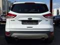 Ford Kuga Titanium LEDER/NAVI/PDC/SHZ/S&S/KEYLESS/USB White - thumbnail 5
