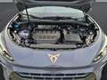 CUPRA Terramar VZ 2.0 TSI DSG 4Drive +AKEBONO+PANOD+SENNHEISER+H Grau - thumbnail 22