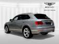 Bentley Bentayga 3.0 V6 phev auto Grigio - thumbnail 3