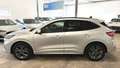 Ford Kuga 2.0 ST-Line X, AHK, Panorama, Bang&Olufsen Silber - thumbnail 7