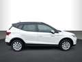 SEAT Arona 1.0 TSI Style Edition DSG, AHK, RFK Weiß - thumbnail 8