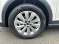 SEAT Arona 1.0 TSI Style Edition DSG, AHK, RFK Weiß - thumbnail 9