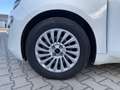 Fiat 500e Neuer 500 Elektro 320km Reichweite Weiß - thumbnail 15