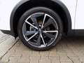 Nissan Qashqai TEKNA MY22 1.3 DIG-T MHEV Ganzjahresreifen Klima Blanc - thumbnail 9