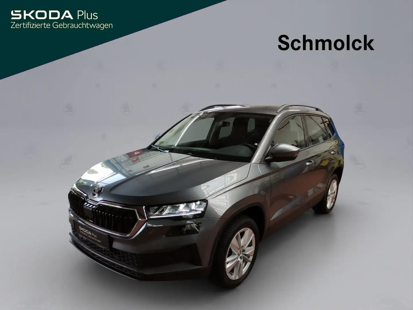 Skoda Karoq Selection 1.5 TSI DSG LED RFK DAB PDC Gris - 1