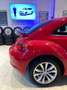 Volkswagen Beetle 1.4 TSI Sport 160 Rosso - thumbnail 10