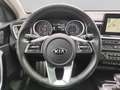 Kia Ceed / cee'd CEED 1.4 T-GDI DSG PLATINUM+NAVI+ACC+RFK+SHZ Blau - thumbnail 10