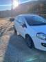 Fiat Punto Evo Punto Evo 3p 1.4 Dynamic s Bianco - thumbnail 7