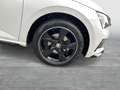 Skoda Scala 1.0 TSI MONTE CARLO LED VIRTUAL PANO LM17 Bianco - thumbnail 5