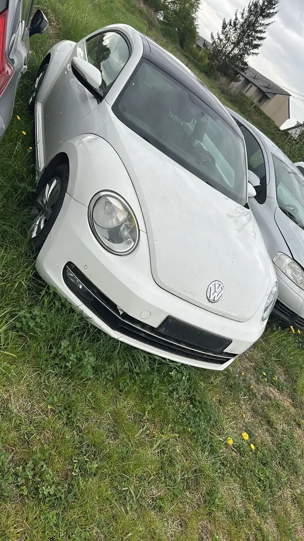 Volkswagen Beetle 1.2 tsi - 2