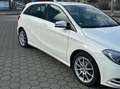 Mercedes-Benz B 180 CDI (BlueEFFICIENCY) Weiß - thumbnail 3