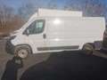 Fiat Ducato L2H1 Weiß - thumbnail 5