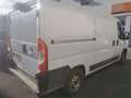Fiat Ducato L2H1 Weiß - thumbnail 7