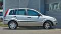 Ford Fusion Viva Klima EFH Argintiu - thumbnail 15