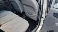 Ford Fusion Viva Klima EFH Argintiu - thumbnail 14