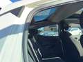 Lancia Ypsilon Ypsilon 1.2 Gold ecochic Gpl 69cv my18 Blanco - thumbnail 7