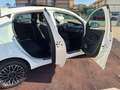 Lancia Ypsilon Ypsilon 1.2 Gold ecochic Gpl 69cv my18 Blanco - thumbnail 10