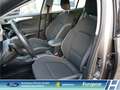 Ford Focus Cool & Connect 1.0 EcoBoost Navi CarPlay    WLAN D Silber - thumbnail 10