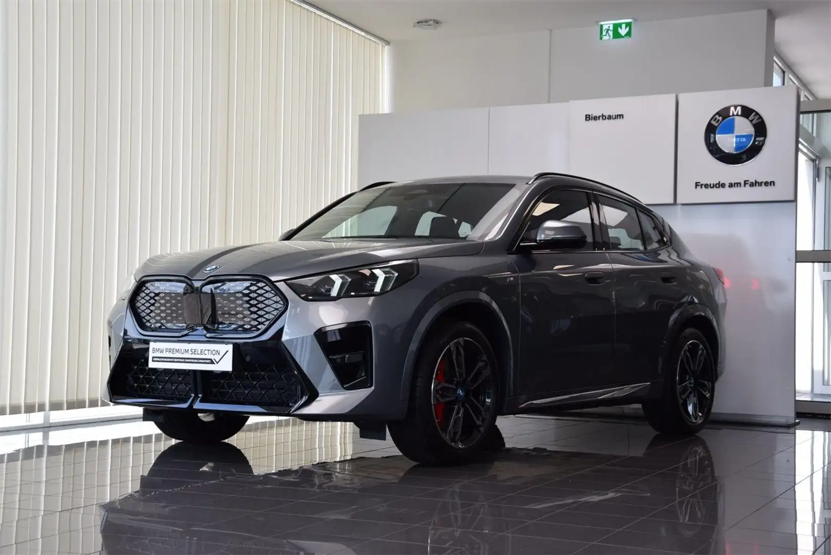 BMW iX2 xDrive30 Grijs - 1