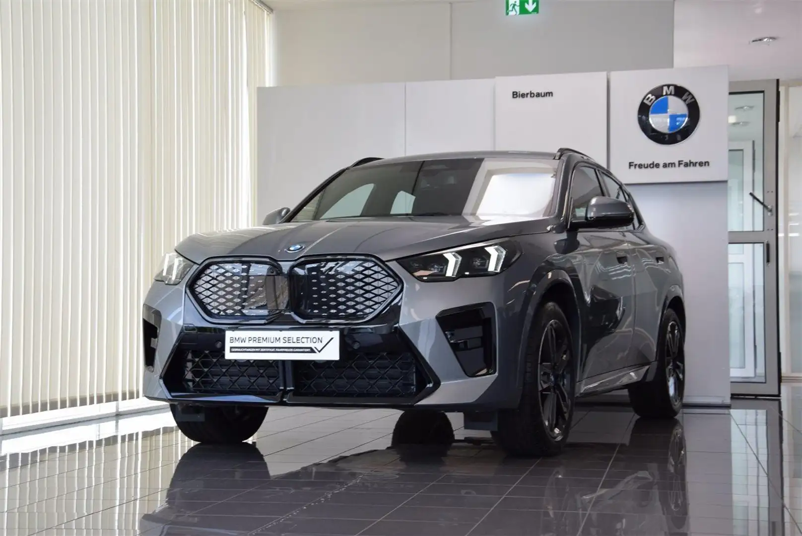BMW iX2 xDrive30 Grijs - 2