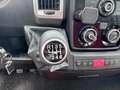 Fiat Ducato AUTOTRANSPORER * 2013 * 35H 3.0 MultiJet LH1 * WIT Wit - thumbnail 24
