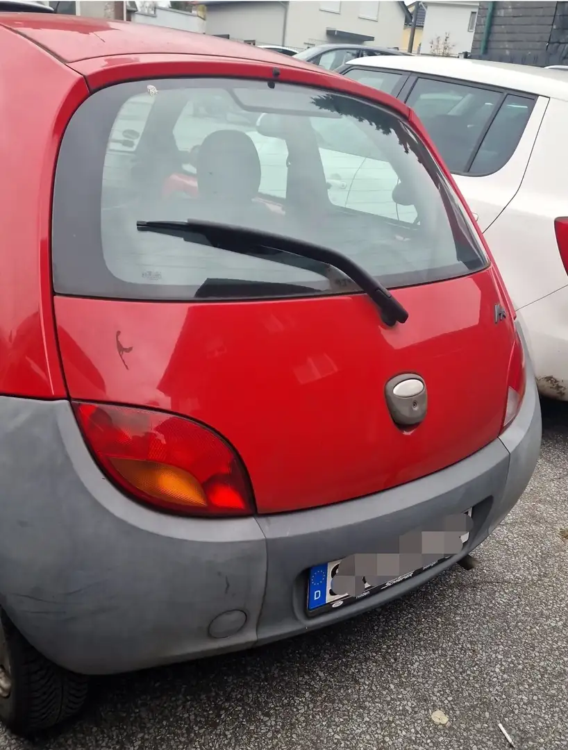 Ford Ka/Ka+ Fun X .Aus 1HAND Rot - 2