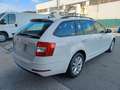 Skoda Octavia 1.6 TDI CR 115 CV Wagon Executive Bianco - thumbnail 4