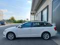 Skoda Octavia 1.6 TDI CR 115 CV Wagon Executive Bianco - thumbnail 6