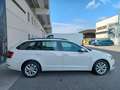 Skoda Octavia 1.6 TDI CR 115 CV Wagon Executive Bianco - thumbnail 5
