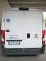 Fiat Ducato - thumbnail 2