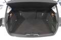 Ford Focus 1.5Ecoblue Trend Edition 120 Blanco - thumbnail 10