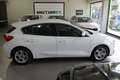 Ford Focus 1.5Ecoblue Trend Edition 120 Blanco - thumbnail 7