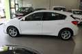 Ford Focus 1.5Ecoblue Trend Edition 120 Blanco - thumbnail 3