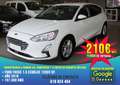 Ford Focus 1.5Ecoblue Trend Edition 120 Blanco - thumbnail 1
