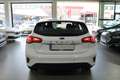 Ford Focus 1.5Ecoblue Trend Edition 120 Blanco - thumbnail 5