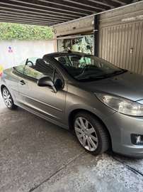 CC 1.6 16v Feline FL